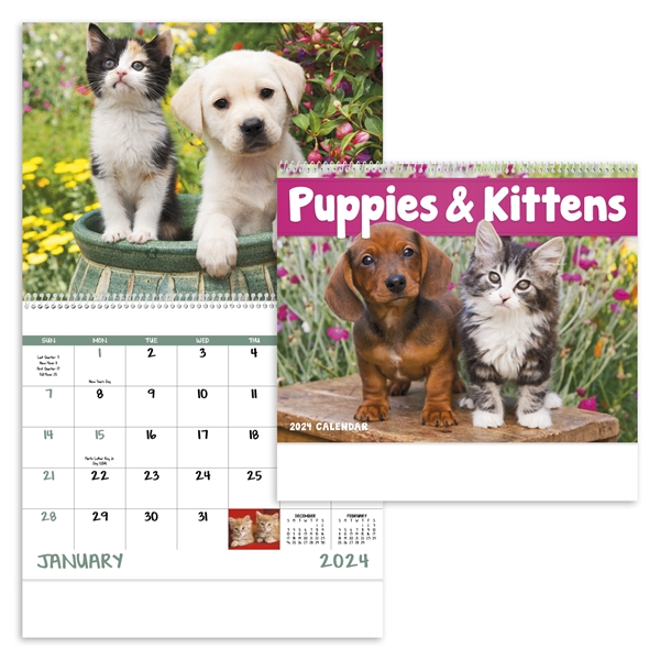 Spiral Puppies & Kittens Lifestyle 2024 Appointment Calendar