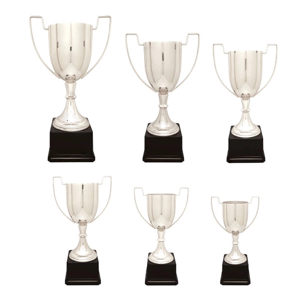Silver Metal Trophy Cup on Base