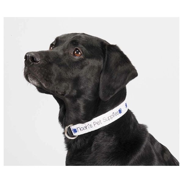 Full Color 1" Wide Adjustable Pet Collar