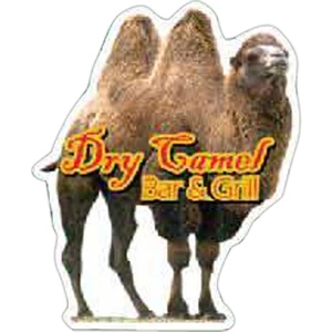 Camel Magnet