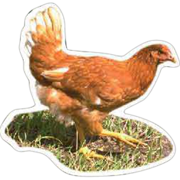 Chicken Magnet