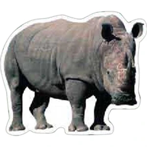 Rhino Magnet