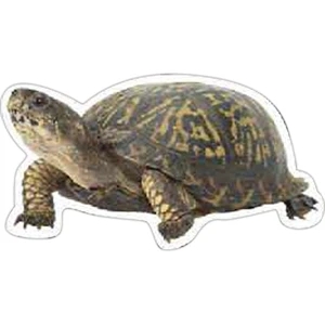 Turtle Magnet