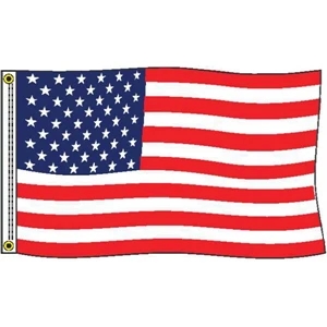 2' x 3' US Polyester Flag