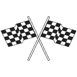Small Hand Flag - Checkered