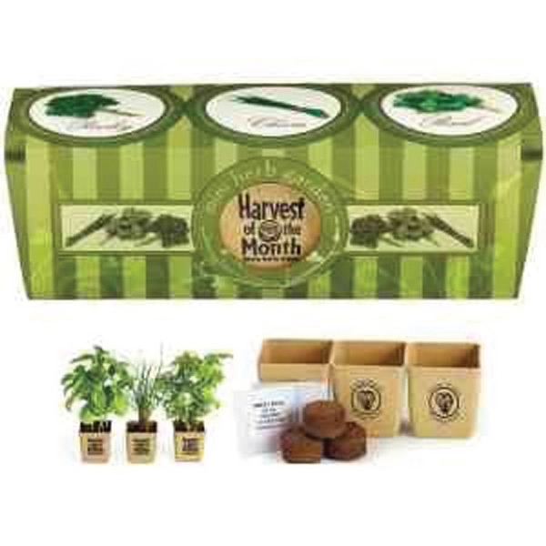 GrowPot Eco-Planter Herb 3 Pack