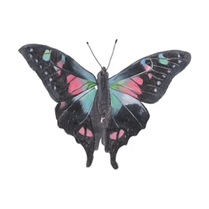 Nightshade Butterfly Temporary Tattoo