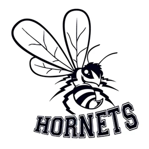 Hornets Sports Temporary Tattoo