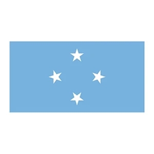 Micronesia Flag Temporary Tattoo