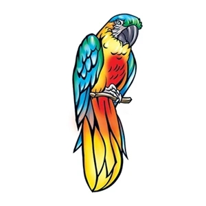 Parrot Temporary Tattoo