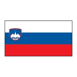 Slovenia Flag Temporary Tattoo