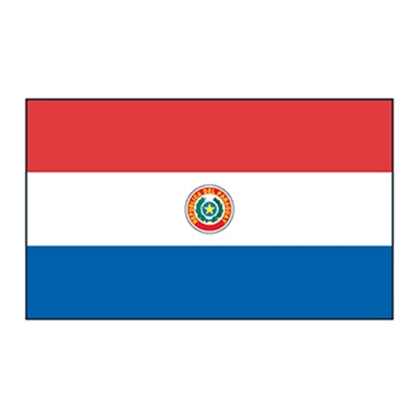 Paraguay Flag Temporary Tattoo - Image 1