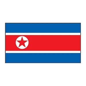 North Korea Flag Temporary Tattoo