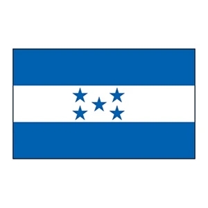 Honduras Flag Temporary Tattoo