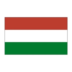 Hungary Flag Temporary Tattoo