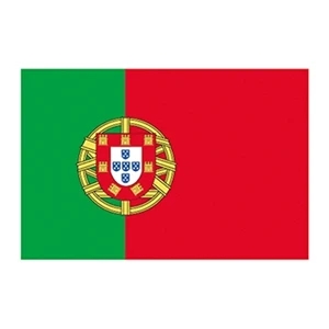 Portugal Flag Temporary Tattoo