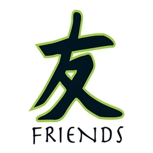 Kanji Friends Temp Tattoo
