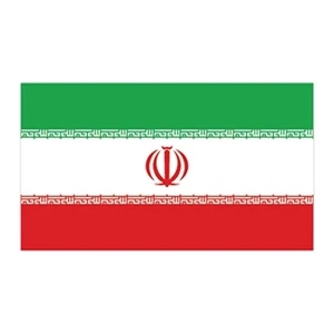 Iran Flag Temporary Tattoo