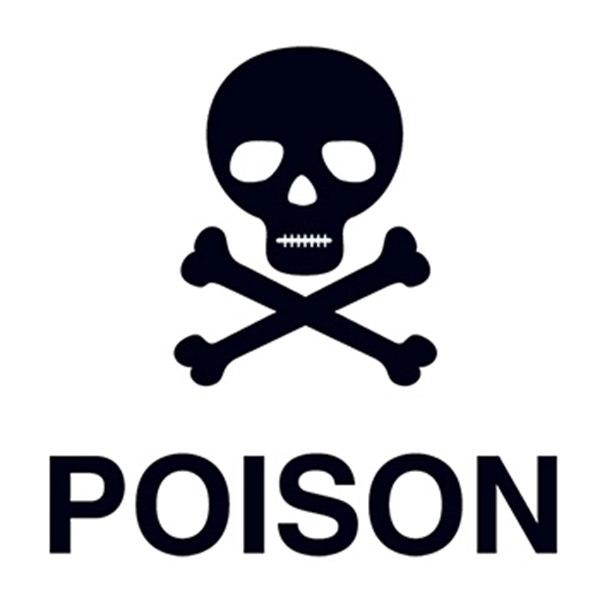 Poison Skull Temporary Tattoo - Image 1