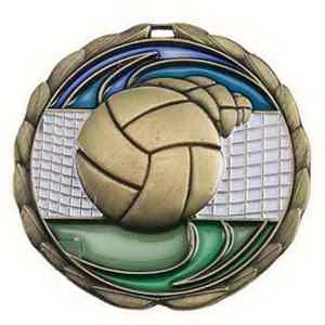 2 1/2" Volleyball Color Epoxy Medallion