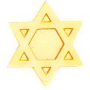 Jewish Star Service Lapel Pin