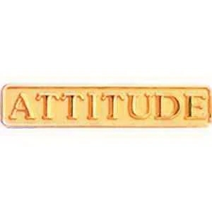 Attitude Service Lapel Pin