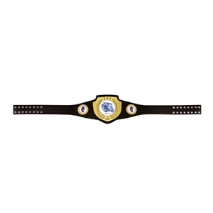 Vibraprint™ Bright Gold Championship Shield Award Belt