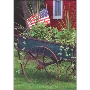 Patriotic Cart