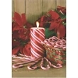 Candy Cane and Poinsettias