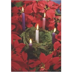 Poinsettias and Candles