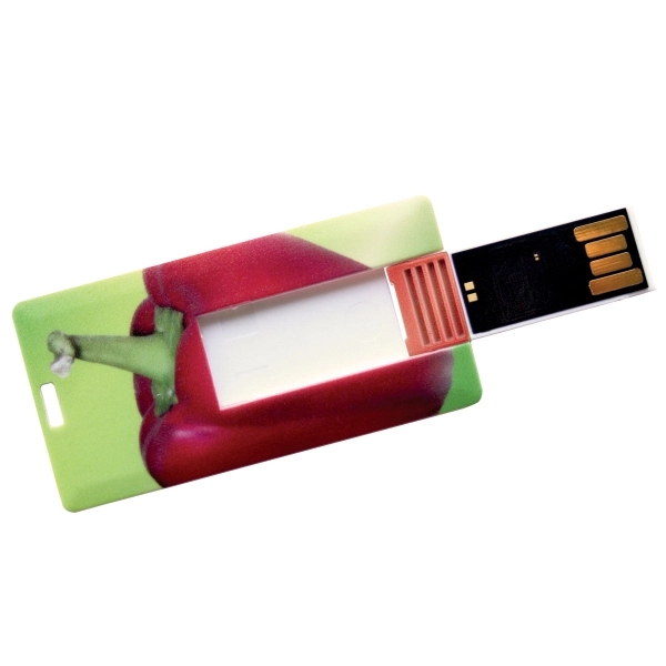 Canis Plastic Mini USB Card - Image 1