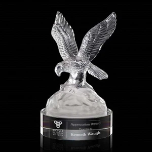 Buntingford Eagle Award