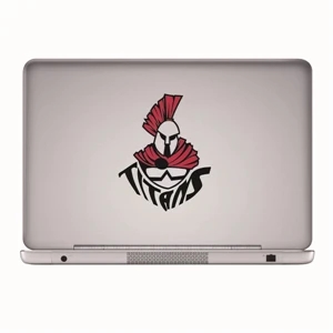 Removable Laptop Decals