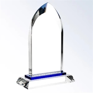 Blue Dignity 9" Award
