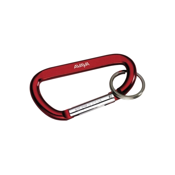 Carabiner with Ring - Image 3