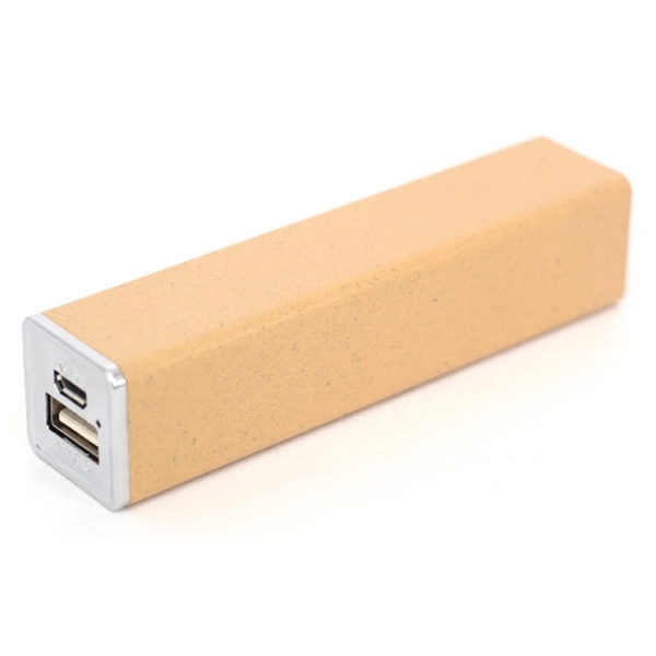 Recycled Tolstoy Power Bank - Image 1