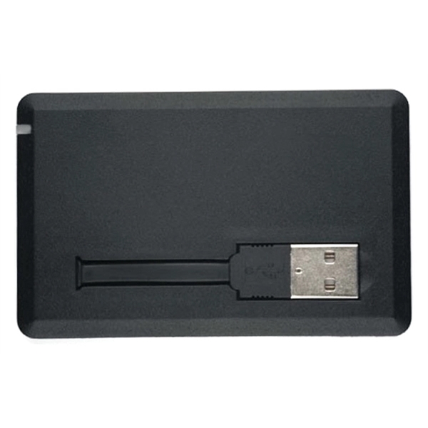 Credit Card III USB Drive - Image 3
