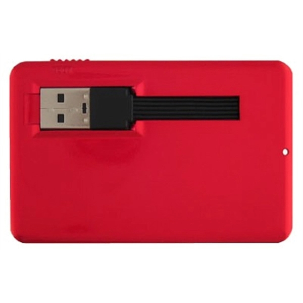 Credit Card III USB Drive - Image 7