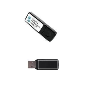 Epoxy Dome Stick  USB 2.0