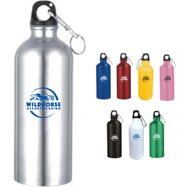 Aluminum Sports Bottle with Carabiner 22 Oz.