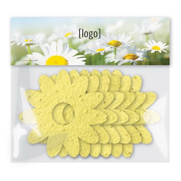 Everyday Seed Paper Shape Pack, Large - Image 3