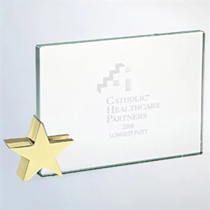Achievement Award with gold brass star
