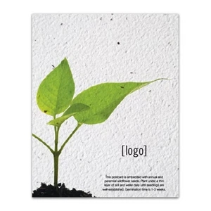 Everyday Seed Paper Postcard