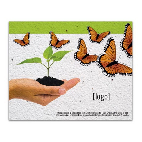 Everyday Seed Paper Postcard - Image 10