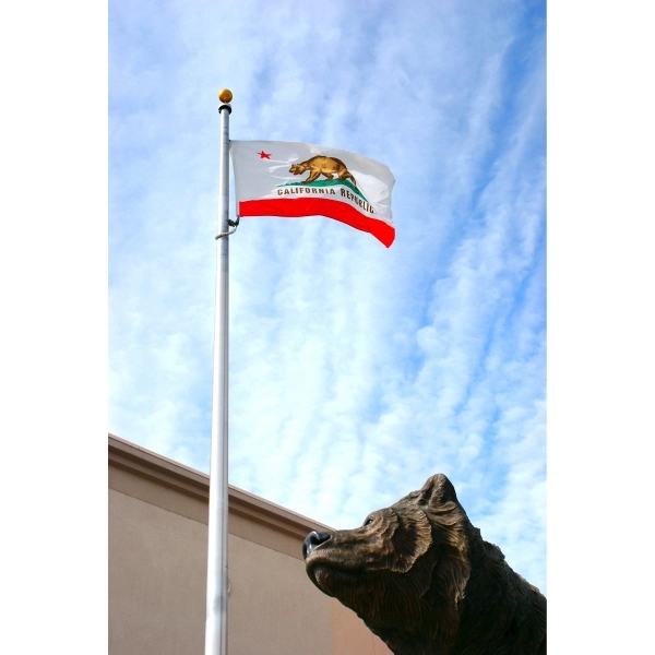 California Official Flag