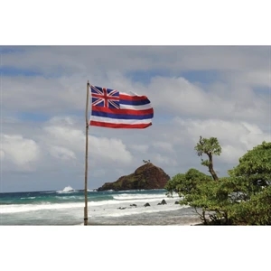Hawaii Official Flag