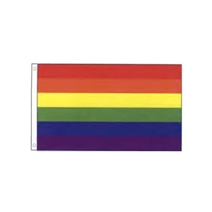 Rainbow Economy Car Flag