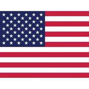USA State Car Flags 12" x 16"