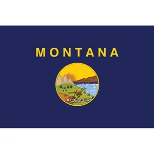 Montana Official Stick Flag