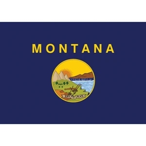Montana Official Car Flag